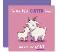 Sister Birthday Card - You Are the G.O.A.T - Happy Birthday Card for Sister from Brother Sibling, 145mm Funny and Sweet Bday Greeting Cards