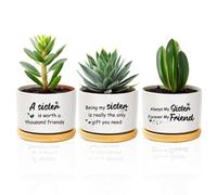 Sister Birthday Gifts, Best Galentines Mothers Day Christmas Xmas Ceramic Flower Plant Bonsai Pots Planters And Trays Indoor And Outdoor Gifts Present for Big Little Soul Sisters Friend from Brother