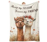 Sister Gifts, Birthday Gift for Sister, Throw Blanket 60"x 50", Big Sisters Gifts from Sisters Brother, Graduation Thanksgiving Friendship Presents,Forever My Friend