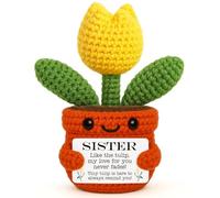 Sister Handmade Crochet Tulip Potted Plant, Sister Bestie Emotional Encouragement GIF for Birthday Graduation Mothers Day Holiday Wishes Farewell Thanksgiving Christmas, Sister Tulip Desk Accessory