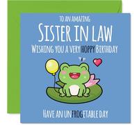 Sister in Law Birthday Card - Cute Frog - Happy Birthday Card for Sister in Law from Brother Sibling, 145mm Bday Greeting Cards