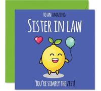 Sister in Law Birthday Card, Simply The Zest | Happy Birthday Card for Sister in Law from Brother Sibling, 145mm cute lemon Bday Greeting Cards