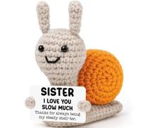 Sisters Birthday Gifts from Sister, Emotional Inspirational Support Funny Relaxation Gifts for Sister-in-Law, Positive Crochet Animals Home Decor Presents for Graduation Christmas