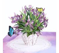 SISTIMON Iris Bouquet Flowers 3D Pop Up Birthday Card for Women,Wife,Thank You Card,Mother’s Day Card,Happy Getting Card,Valentines Mom,Sister,Wife,Grandma,Daughter,Girlfriend,Iris flower,(MD002)