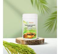 SITARAM AYURVEDA THENGIN POOKULA LEHYAM (400g) | Helps in restoring strength and tone to the uterine muscles | Efficient for imparting strength and stability to lower back in postnatal care