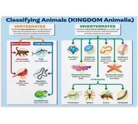 SitrMGH Classification of Animals Biology Poster Vertebrates and Invertebrates Metal Tin Sign Art Poster for Room Aesthetic Posters & Prints on Metal Tin Sign Wall Art for Room 8x12 inch