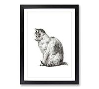 Sitting Cat by Jean Bernard Framed Print | A2 Black Framed Wall Art | Ready to Hang | Modern Animal Picture | Living Room Bedroom Lounge Office