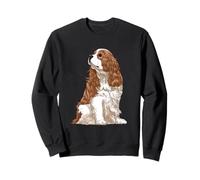 Sitting Dog Blenheim Cavalier King Charles Spaniel Sweatshirt