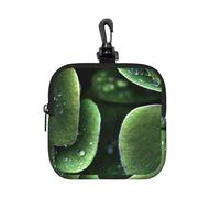 Sitting Green Three Leaf Insect Square Zipper Pouch with All-Over Print,Waterproof Rubber-Fabric, Lightweight Durable Small Organizer Bag for Coins, Cards, Keys