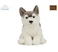 Sitting Husky Puppy Plush Soft Toy Sled Dog Teddy 10 year guarantee. Gift. 21cmH