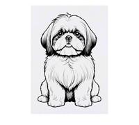 'Sitting Shih Tzu' Temporary Tattoo - Water Resistant, Skin-Safe, Non-Toxic Transfer (TO00078731)