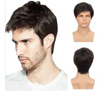 Siudus Mens Black Short Wig Straight Layered Side Part Natural Hair Wig Synthetic Fiber Guy Male Wigs for Daily Cosplay Costume Use