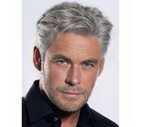 Siudus Mens Grey Short Wig Side Part Layered Realistic Hair Wigs Natural Synthetic Guy Male Wig for Daily Use