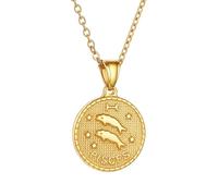 SIUSYACI 12 Constellation Stainless Steel Necklace Zodiac Round Charms Pendant Star Sign Horoscope Pendant Astrology Birthday Gifts (Pisces)