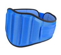 SIUSYACI Powerlifting Belt for Men Thick Material Padded Back Support Strip Design Suitable for Men and Women Fitness Stretching Exercises (Blue, Large)