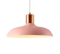 SIVAJI Modern Creative Pendant Lamp Personalized Metal Hanging Lights Bohemian Creative Chandelier E27 Single Head Pastoral Ceiling Lighting Fixture for Kitchen Island Bedroom Hallway Coffee Shop