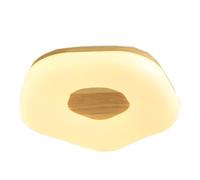 SIVAJI Modern Minimalist Style Panel Lights Energy Saving Stepless Flat Light Creative Household Ceiling Lighting Fixtures Adjustable Color Temperature Flush Lamp for Kitchen Island Bedroom