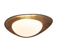 SIVAJI Resin Lamp Body Stepless Dimming Ceiling Lights Modern Minimalist Panel Lamp Flush Mount Canopy Light Fixture for Bedroom Elegant Imitation Wood Grain Lighting for Kitchen Island Dining Room