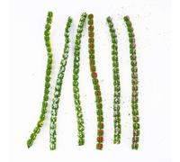 Six-Color Static Grass for TUFTS Set for Miniature Scenery, Self-Adhesive Mixed Wildflower Shrub Strips 20cm, Greenery Decor for HO Scale Model Trains, Sand Tables and DIY Crafts