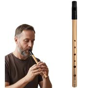 Six-Hole Gold Tin Whistle in Key D | Anti-Tarnish Penny Whistle for Beginners | Irish Wind Instrument with Premium Finish, Starter Kit (Includes Pouch & Chart)