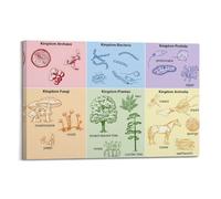 Six Kingdoms of Life Biology Knowledge Art Canvas Poster Bedroom Living Room Decoration Painting Frame-style 24x36inch(60x90cm)