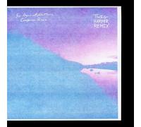Six Organs of Admittance - Companion Rises (Twig Harper Remix) [VINYL]