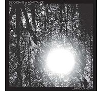 Six Organs Of Admittance - Luminous Night [VINYL]