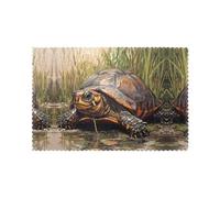 Six piece set of oil proof and heat-insulating placemats WZYWHJ The turtle crawling into the swamp Printed dining plates