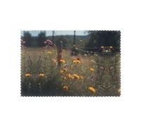 Six piece set of oil proof and heat-insulating placemats WZYWHJ Wildflowers outside the fence Printed dining plates