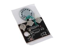 SIXRUN 27s Recordable Voice Module, Compact Sound Chip with 0.5W Output for Gifts and DIY Projects (Light sensitive version)