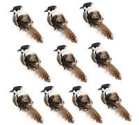 SIXRUN Artificial Foam Bird Ornaments with Metal Clip for Christmas Tree | Lifelike Foam Bird Decor, Vibrant Multi-color, 5.5x1.6x2.0 Inch, for Wreath Craft Party Home Decoration