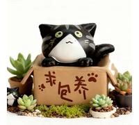 SIXRUN Cartoon Poor Box Cat Model PVC Miniature Statue Cute Cat Figurine for Home Car Office Decoration with Vibrant Color (Black)