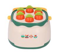 SIXRUN Educational Flower Sorting Stacking, Multifunctional Functional Design for Kids, ABS+PP Material