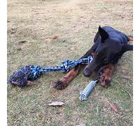 SIXRUN Spring Pole Dog Rope Toy, Heavy Duty Tug of War Toy with 300 Lbs Stainless Steel Spring for Outdoor Hanging Exercise (Blue)