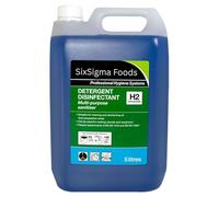 Sixsigma Foods Detergent Disinfectant H2 Concentrate (2 X 5 Litres) - Powerful Multi Surface Cleaner & Germ Killer - Ideal for Kitchens & Commercial Cleaning (Case of 2)
