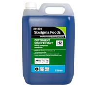 Sixsigma Foods Detergent Disinfectant H2 Concentrate 5L - Powerful Multi Surface Cleaner & Germ Killer - Ideal for Kitchens, Bathrooms, Food Areas & Commercial Cleaning Tasks