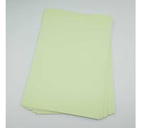 Sixstore A4 Coloured Paper Card 50 Sheets Assorted Colours, Real 200GSM, Crafting and Decoratin, Art Paper (297 x 210mm) (Pastel Green)
