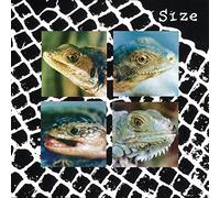 Size - Nadie Puede Vivir Con Un Monstruo [BLUE] [VINYL]