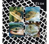 Size - Nadie Puede Vivir Con Un Monstruo [VINYL]