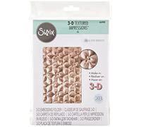 Sizzix 3-D Textured Impressions Embossing Folder Organic Petals by Kath Breen, 664998, One Size