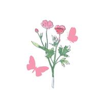 Sizzix A5 Clear Stamps & Framelits Dies - Painted Pencil Botanical by 49 and Market