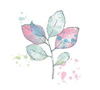 Sizzix A5 Clear Stamps & Framelits Dies - Painted Pencil Leaves by 49 and Market