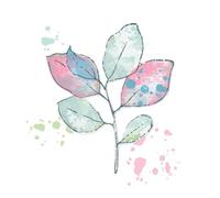 Sizzix A5 Clear Stamps & Framelits Dies - Painted Pencil Leaves by 49 and Market