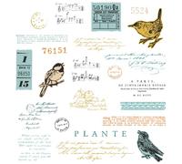 Sizzix A5 Clear Stamps w/Framelits Die Bird Song by 49 and Market