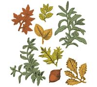 Sizzix A5 Clear Stamps w/Framelits Die Forever Leaves by 49 and Market