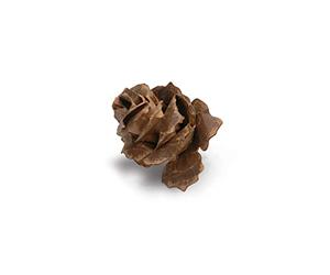 Sizzix Bigz Die 660035, Tattered Pinecone by Tim Holtz, Multi Color, One Size, 5.5-Inch by 6-Inch 660035
