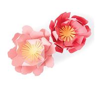 Sizzix Bigz Die 663860, Summer Blooms by Jennifer Ogborn, Multicolour, One Size