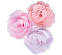 Sizzix Bigz Die Cabbage Rose by Jennifer Ogborn, 665824, Multicolor, One Size