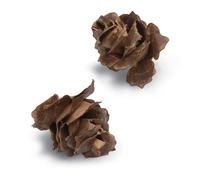 Sizzix Christmas Thinlit Die Winter Wonderland :662426