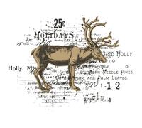 Sizzix Clear Stamp w/Framelit Die Reindeer Mix Cluster by 49 and Market